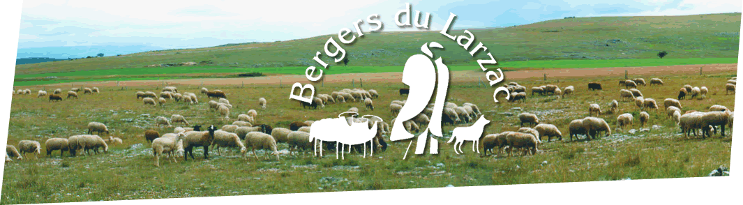 LES BERGERS DU LARZAC LES BERGERS DU LARZAC